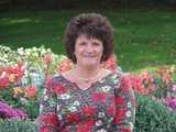 Laurie Thompson- Associate Broker